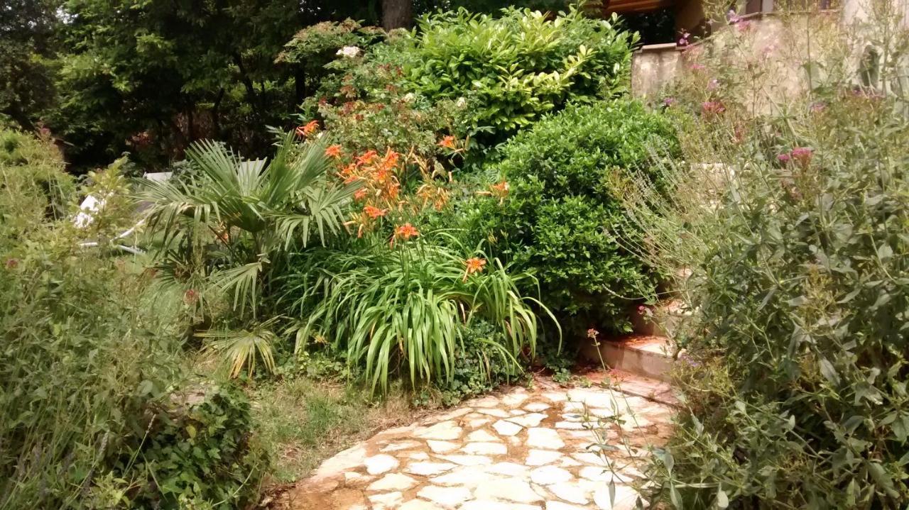 La Bousquatiere Bed & Breakfast Piolenc Bagian luar foto