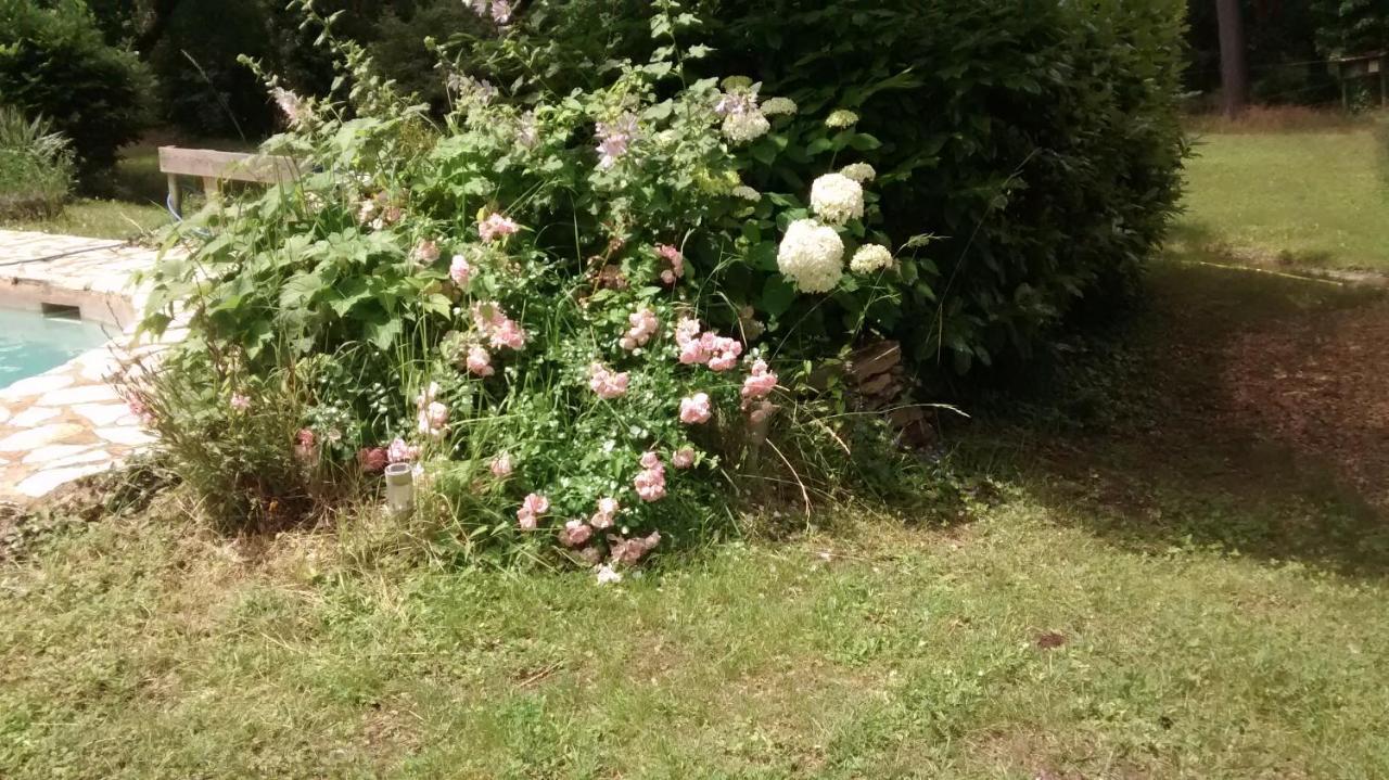 La Bousquatiere Bed & Breakfast Piolenc Bagian luar foto